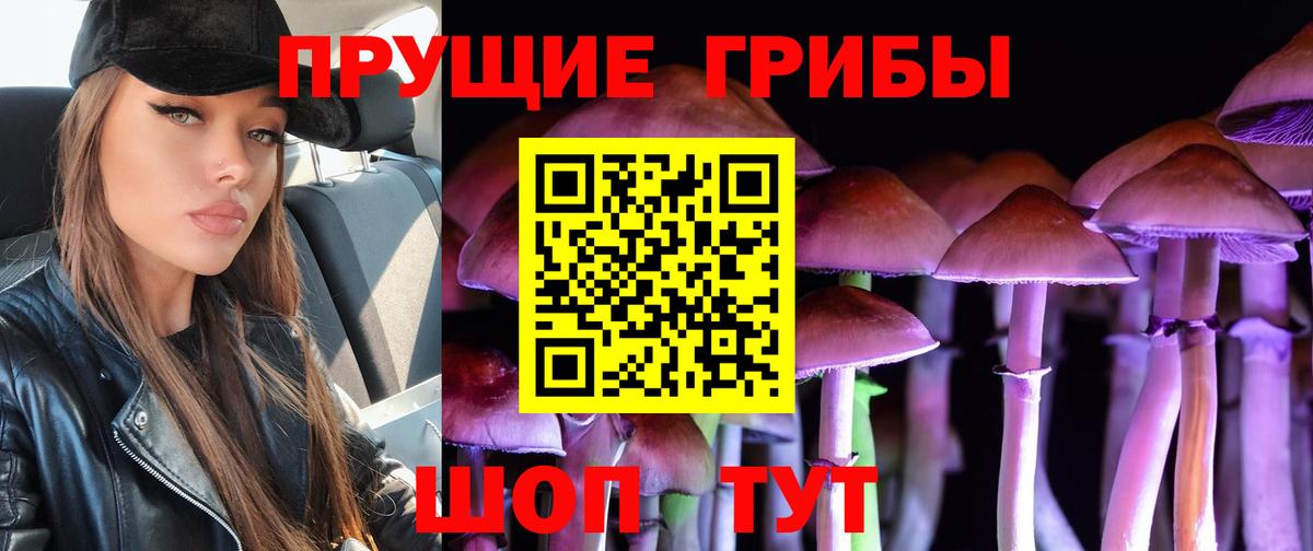 Галлюциногенные грибы мухоморы Советская Гавань